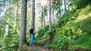 Eigenes Bundesland ist attraktives Urlaubsziel
