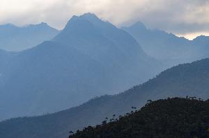 Artenschutz in aller Welt – mit Mitteln aus Stuttgart