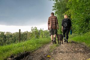 ZUM LICHT WANDERN