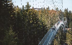 In schwindelerregender Höhe: Hängebrücken im Schwarzwald