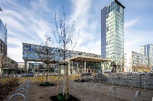 Freiburg: Mehr Platz für Fahrräder