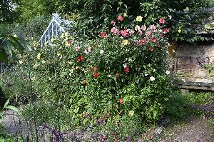 Finale im Garten der Herrenmühle Bleichheim