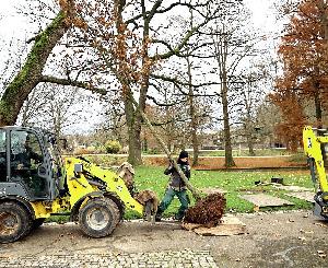 Klimabäume bereichern den Zoologischen Stadtgarten Karlsruhe